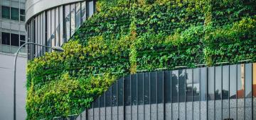Green building