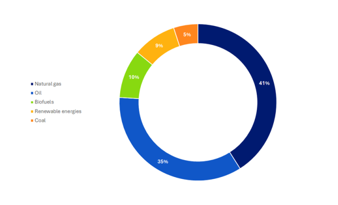 The energy supply mix in Italy in 2022