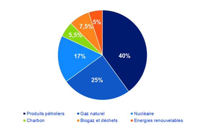 Image illustrant la répartition de la consommation d’énergie primaire par énergie en Belgique 