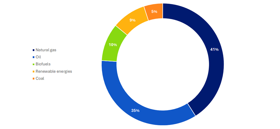 The energy supply mix in Italy in 2022