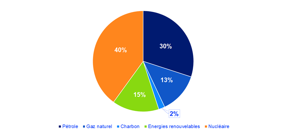 Image illustrant la répartition de la consommation d’énergie primaire par énergie en France 