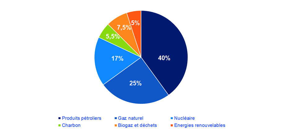 Image illustrant la répartition de la consommation d’énergie primaire par énergie en Belgique 