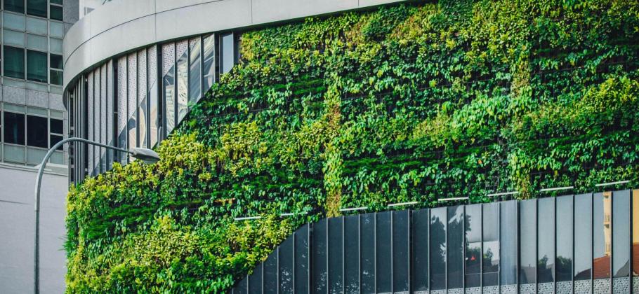Green building