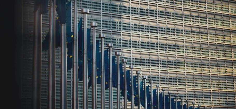 Image illustrant les drapeaux européens